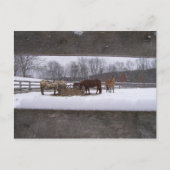 Briefkaart wintermeel (Voorkant)