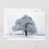 Briefkaart wintersneeuw/kerstboomvakantie (Voorkant / Achterkant)