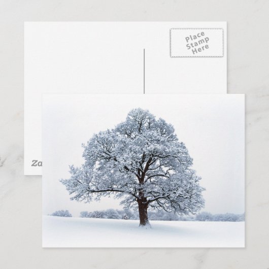Briefkaart wintersneeuw/kerstboomvakantie (Voorkant / Achterkant)