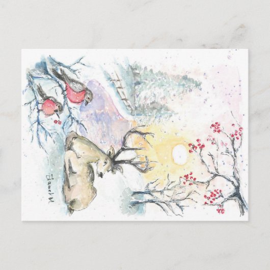 Briefkaart wintersneeuwrendier (Voorkant)