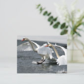 Briefkaart winterswans (Staand voorkant)
