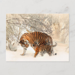 Briefkaart Wintertigers