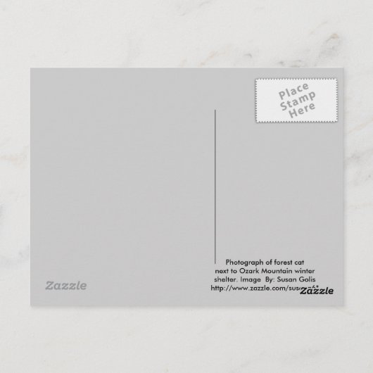 Briefkaart winterveenbos (Achterkant)