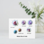 Briefkaart Witte bloedcellen Leukocytendiagram (Staand voorkant)
