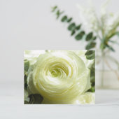 Briefkaart witte boterbloemen (Staand voorkant)