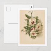 Briefkaart: Witte en Paarse Pansies Briefkaart (Voorkant / Achterkant)