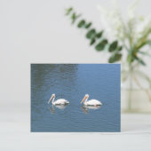 briefkaart witte pelikanen (Staand voorkant)