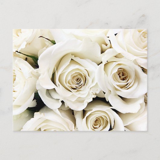 Briefkaart witte rozen (Voorkant)