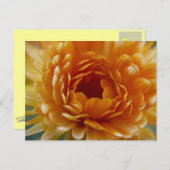 BRIEFKAART - woestijnbloom (Voorkant / Achterkant)