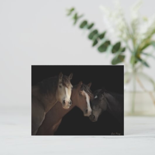 Briefkaart woestijngeesten (Staand voorkant)