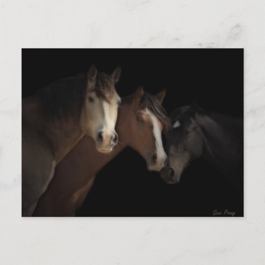 Briefkaart woestijngeesten (Voorkant)