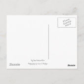 Briefkaart woestijnklimmer (Achterkant)