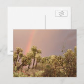 Briefkaart woestijnregenboog (Voorkant / Achterkant)