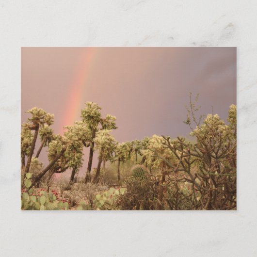 Briefkaart woestijnregenboog (Voorkant)