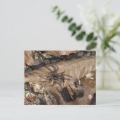 Briefkaart Wolf Spider (Gladicosa gulosa) (Staand voorkant)