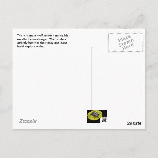 Briefkaart Wolf Spider (Gladicosa gulosa) (Achterkant)