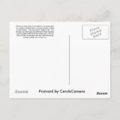 Briefkaart Wolf Spider (Gladicosa gulosa) (Achterkant)