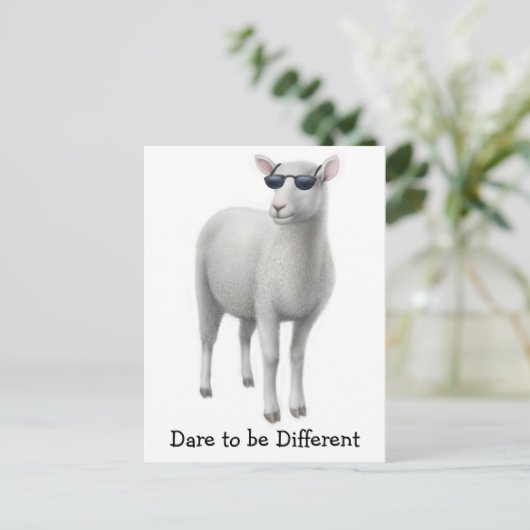 Briefkaart wolschapen (Staand voorkant)