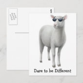 Briefkaart wolschapen (Voorkant / Achterkant)
