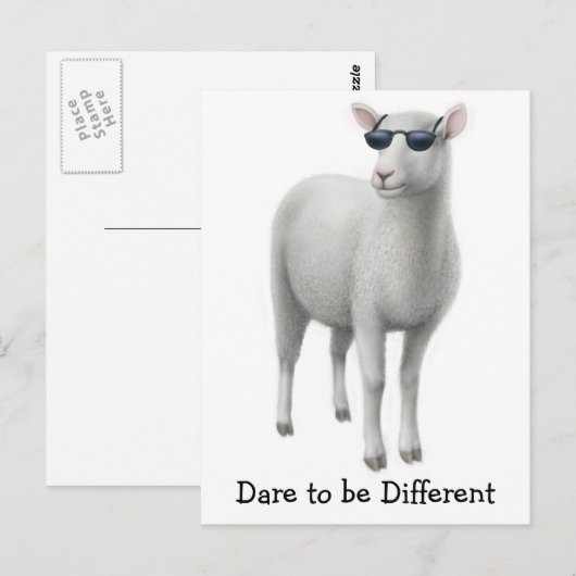 Briefkaart wolschapen (Voorkant / Achterkant)