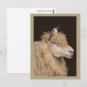 Briefkaart wolverzamelaar (Voorkant / Achterkant)