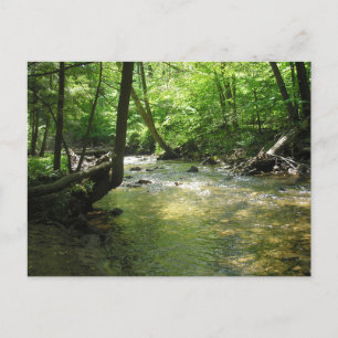 briefkaart "Woodland Stream"