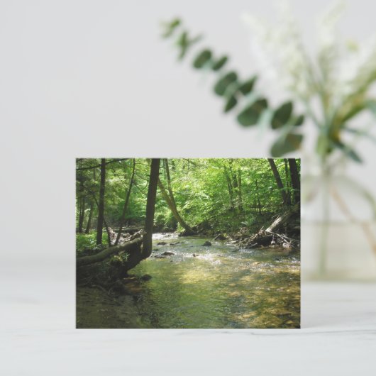 briefkaart "Woodland Stream" (Staand voorkant)