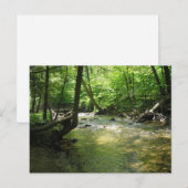 briefkaart "Woodland Stream" (Voorkant / Achterkant)