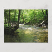 briefkaart "Woodland Stream" (Voorkant)