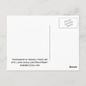 Briefkaart Wrigley Building (Achterkant)