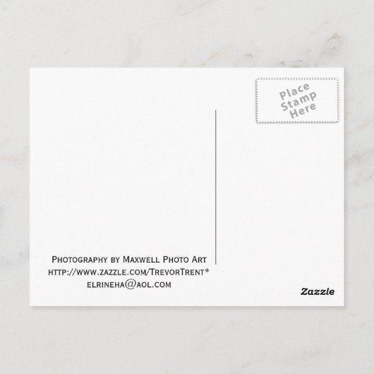 Briefkaart Wrigley Building (Achterkant)