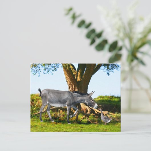 briefkaart "Young Eno & Henri" (Staand voorkant)