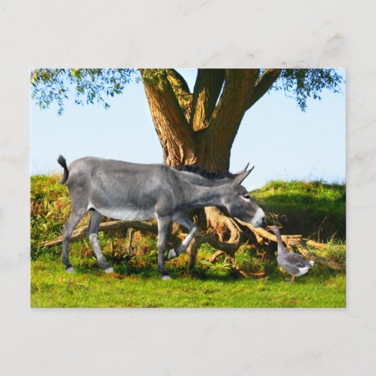 briefkaart "Young Eno & Henri" (Voorkant)