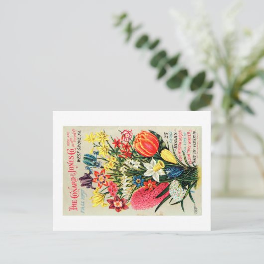 Briefkaart zaadpakket (Staand voorkant)