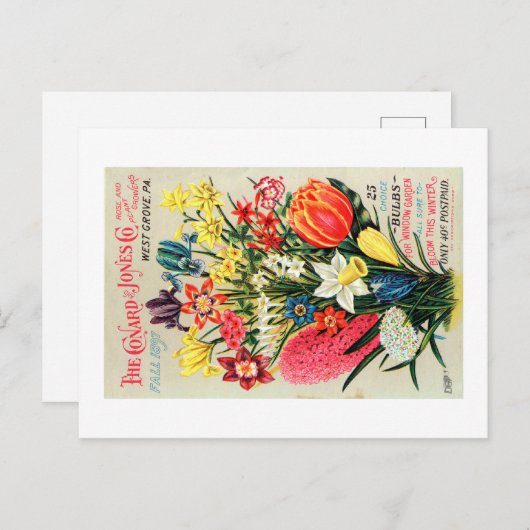 Briefkaart  zaadpakket (Voorkant / Achterkant)