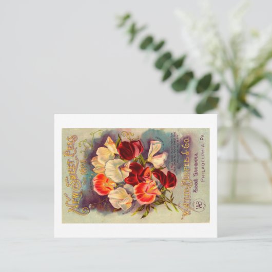 Briefkaart zaadverpakking. (Staand voorkant)