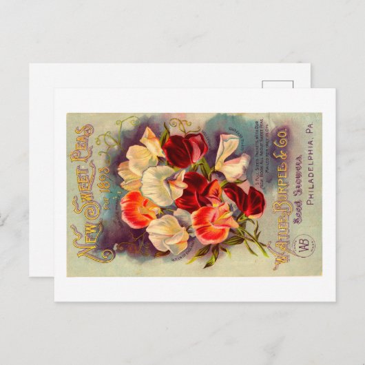 Briefkaart zaadverpakking. (Voorkant / Achterkant)