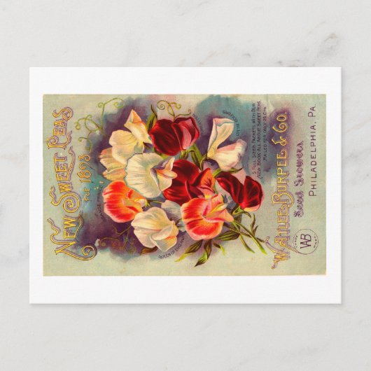 Briefkaart zaadverpakking. (Voorkant)