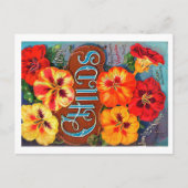 Briefkaart zaadverpakking. (Voorkant)