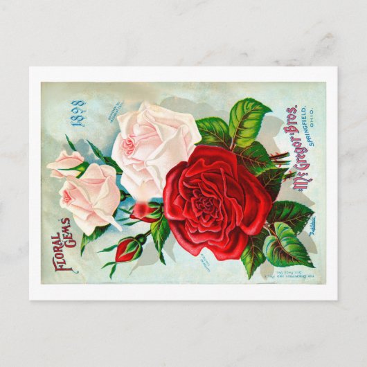 Briefkaart zaadverpakking. (Voorkant)