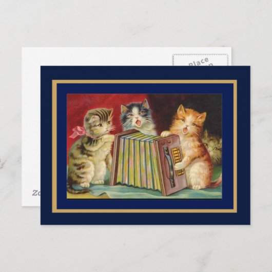 Briefkaart  Zangkatten (Voorkant / Achterkant)