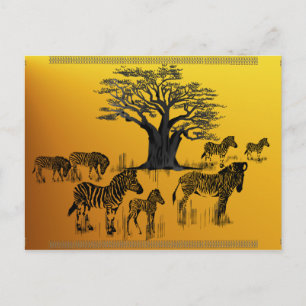 Briefkaart zebra en Baobab