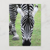 Briefkaart Zebra Stripes (Voorkant)