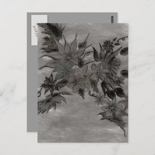 Briefkaart Zijderarray (Voorkant / Achterkant)