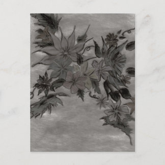 Briefkaart Zijderarray