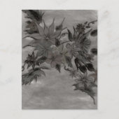 Briefkaart Zijderarray (Voorkant)