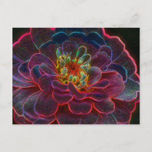 Briefkaart Zinnia Digital Art Flower Photography