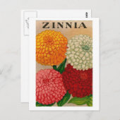  briefkaart zinnia-zaadpakket (Voorkant / Achterkant)