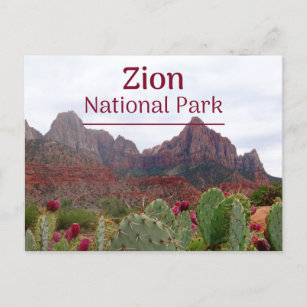 Briefkaart Zion National Park Bloom