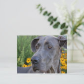  Briefkaart zoeken (Staand voorkant)